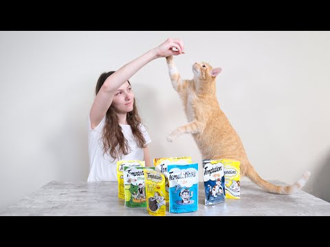 YouTube video about: Can humans eat temptations cat treats?