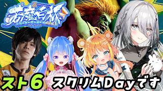 【 スト6 】若魔白杯スクリム🎮✨【ソフィア・ヴァレンタイン / にじさんじ】