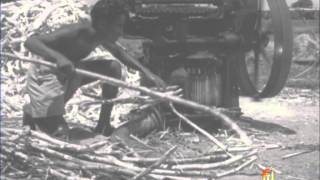 Electricity in the Service of Man (1956)
