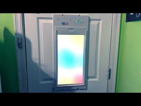This Smart Dog Door Solves One Problem But Creates Another