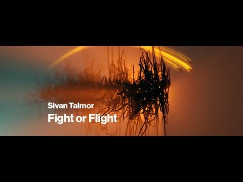 Sivan Talmor - Fight or Flight -  Official