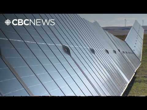Solar panels get pricier in Alberta thanks to first-in-Canada fee