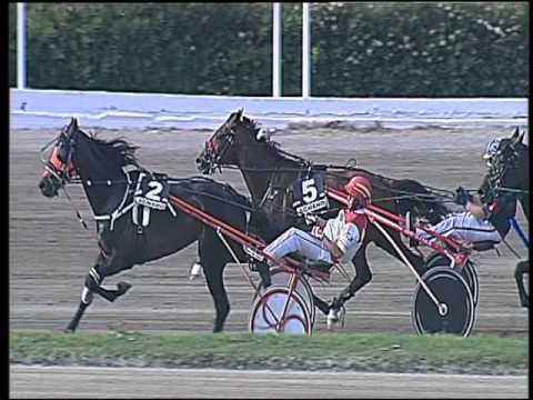 Trotto 08/05/2016 - 7° corsa