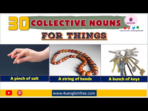الاسماء الجماعية للاشياء باللغة الانجليزية COLLECTIVE NOUNS OF THINGS IN ENGLISH