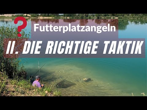 Karpfenangeln auf Futterplätzen -  II. Die richtige Taktik