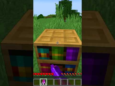 I discovered a NEW STOLEN BUG from MINECRAFT 1.20