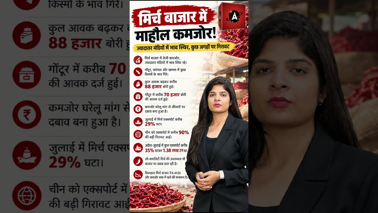 चीन को लाल मिर्च का एक्सपोर्ट में 90% तक की गिरावट
