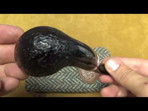 Pipa Peterson Pipe of the Year 2023 - Limited Edition n.781/1100 - Sabbiata