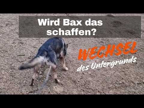 A different kind of tracking. Will Bax be able to do it?