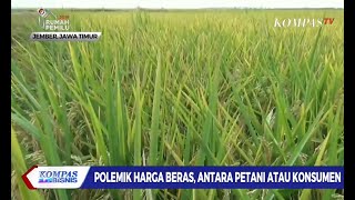 Download lagu Polemik Harga Beras, Antara Petani atau Konsumen mp3