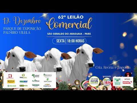 62º LEILÃO COMERCIAL - SÃO GERALDO DO ARAGUAIA / PA