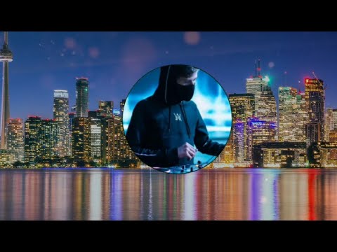 Alan Walker x Jamie Miller - Running out of roses (Visualizer)