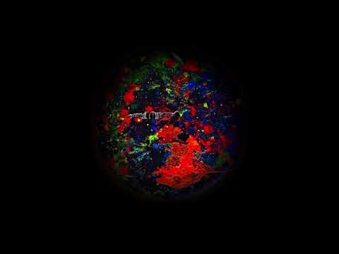 shadows - Kai Basanta