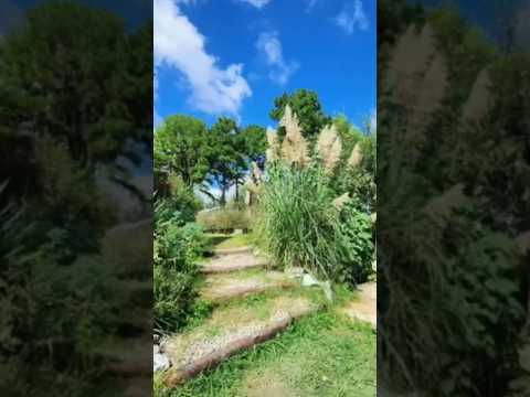 ¿Te animás a un Viaje hacia adentro? 🏔️✨ #shorts #yacanto