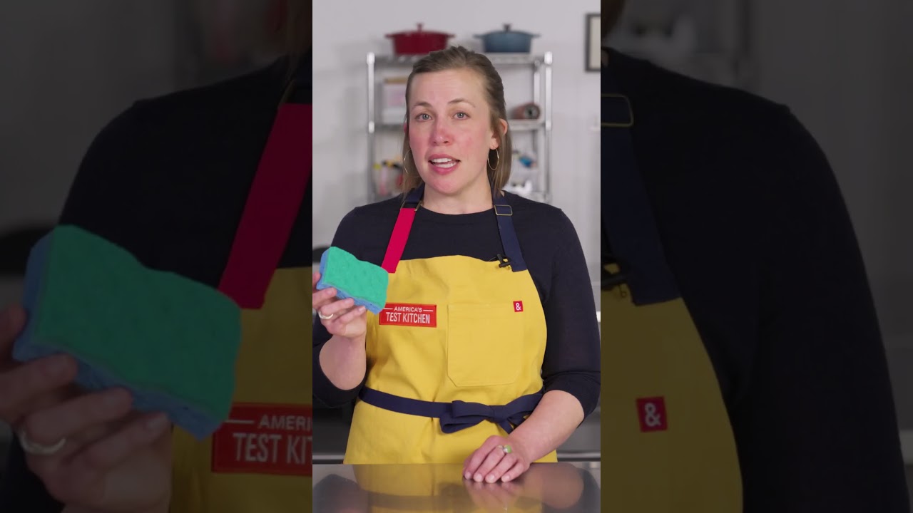 Do Wet Kitchen Sponges Contain More Bacteria? [2024]