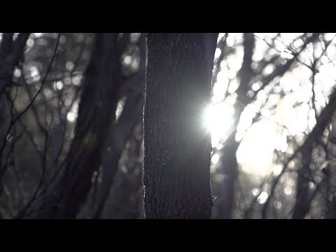 Sydonia - Reality Kicks [Official Video]