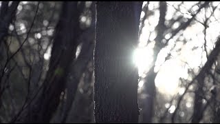 Sydonia - Reality Kicks [Official Video]