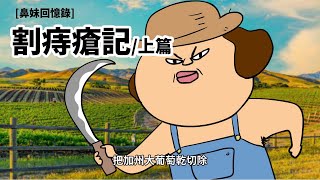 [討論] 痔瘡治療是不是一定要手術?