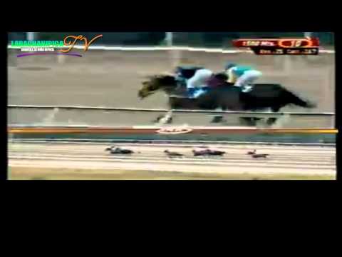 LA RINCONADA 10 CARRERA SABADO 05 DE ABRIL DEL 2014