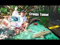 Finding CREEPY FISH In HIDDEN TUNNEL For My Aquarium!