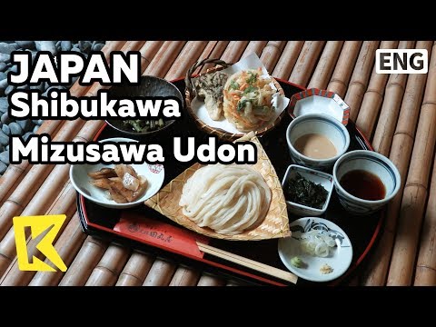 【K】Japan Travel-Shibukawa[일본 여행-시부카와]차가운 미즈사와우동/Mizusawa Udon/Tamaruya/Kake/Mineral water