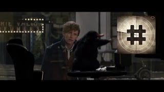 Fantastic Beasts and Where to Find Them Official Trailer 1 | 2016 1080p HD | Redmayne | TRAILERANK video
