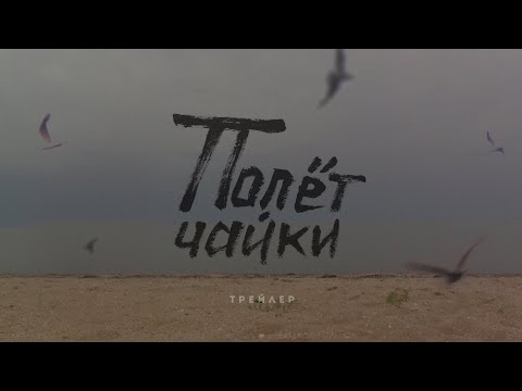 Трейлер документального фильма «Полёт чайки»