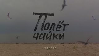 Трейлер документального фильма «Полёт чайки»
