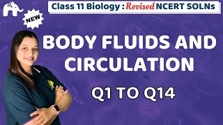 Body Fluids and Circulation Class 11 Biology | Revised NCERT Solutions | Chapter 15 Questions 1-14