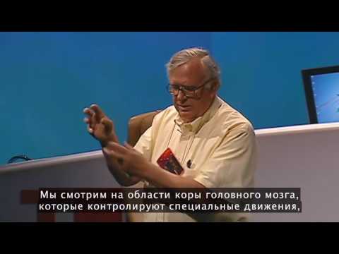 Майкл Мерзенич о перепрограммировании мозга