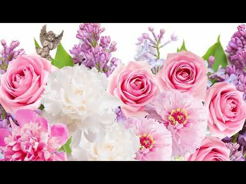 BANK - Rest In Paradise (Audio)