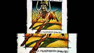Dropkick Murphys - Rock And Roll (Motorhead Cover)