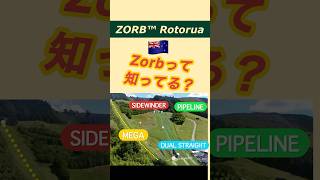 🇳🇿ロトルアでゾービング！ #travel #zorbing #newzealand #rotorua