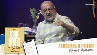 SOBRE VIVER │ A Consciência de Peregrino