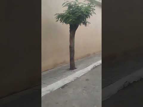 Cidade de Santa Cruz da Baixa Verde-PE, parte 1