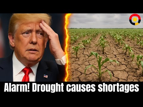 🚨 Drought Disaster: Prices Soar, Trump Under Fire