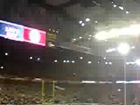 Steelers Fans Go Nuts at the Super Bowl