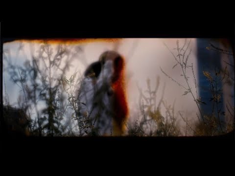 Dsea.Dead - Pictures  ( Official MV)