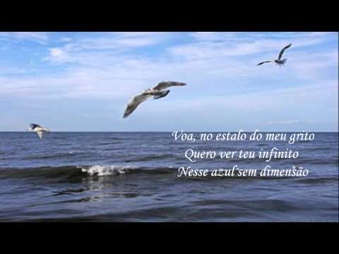 Voa Liberdade video