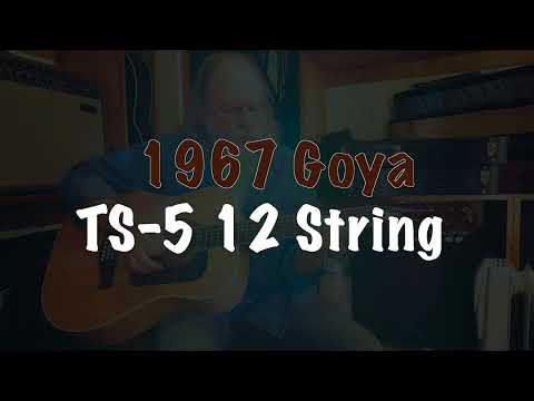 Goya (Sweden) TS-5 / 1967 / Twelve Strings and the Truth image 24