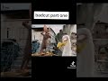 Bad Cat Vj Kevo