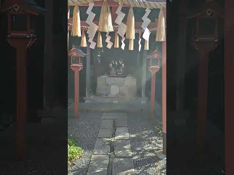 Sacred Light at Ugano-Mitama Shrine (Tenkawa, Nara) – YouTube Short thumbnail