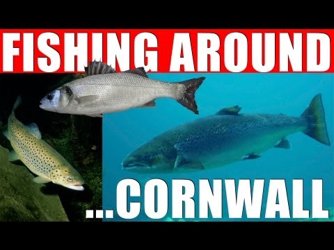 Fishing Around – Cornwall Fishing Around – Cornwall