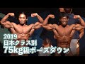 2019日本クラス別ボディビル選手権 75kg以下級ポーズダウン