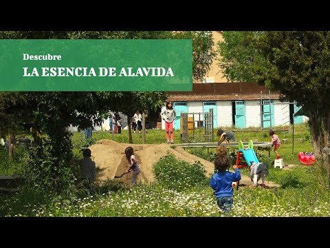 Vídeo Colegio Alavida