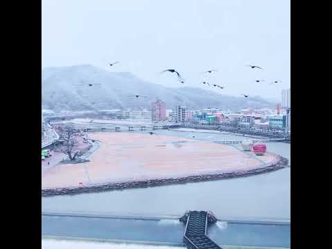 Winter Cheongsong❄ coming soon