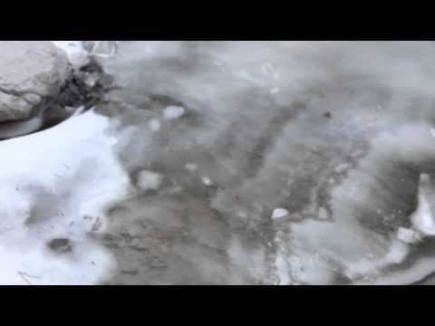 Rio di Pleziche - Val Dogna - 12.2.2012