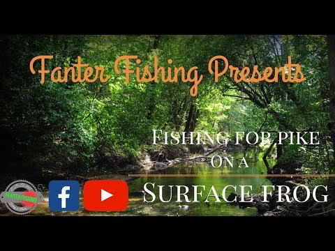 Fanter Fishing Surface lure fishing for Essex pike with Daiwa Popper HD1080p