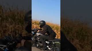Harley Breakout vs Triumph Speed Twin!