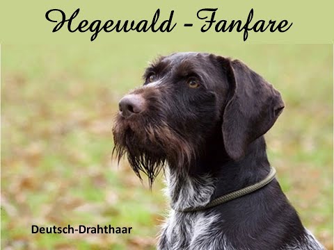 Hegewald Fanfare - Hermann Neuhaus